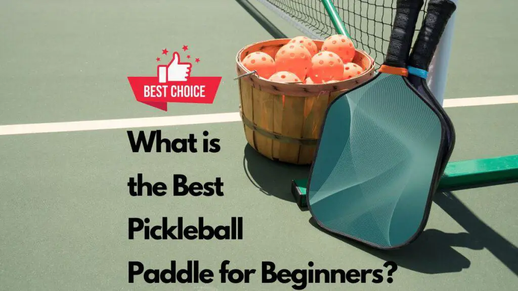 What is the Best Pickleball Paddle for Beginners?